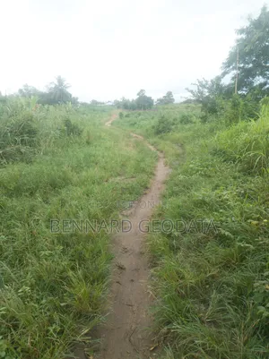 Farmland for Sale