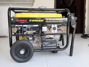 Firman Spg3000e2 2.5kva Petrol Generator