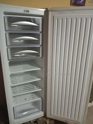 Standing Freezer