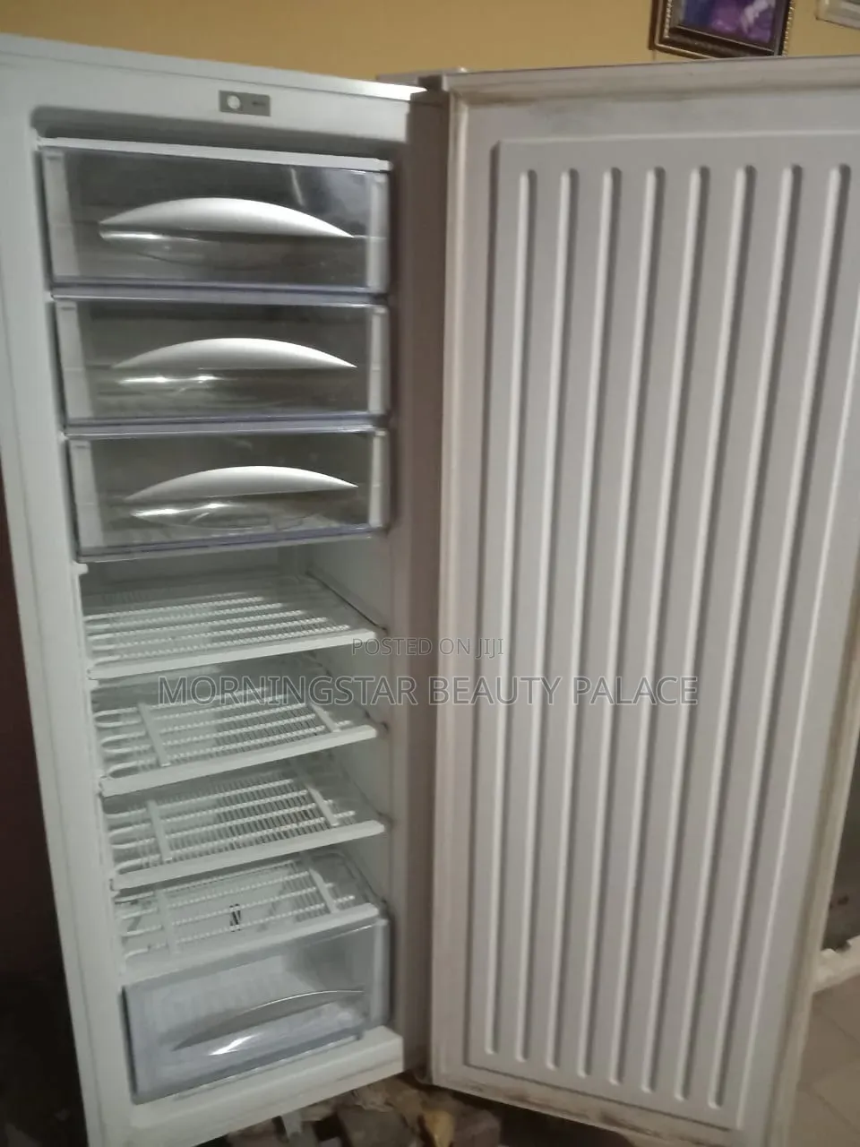Standing Freezer