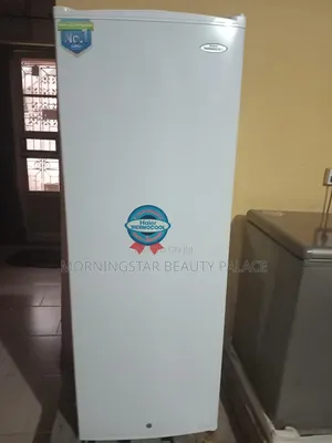 Standing Freezer