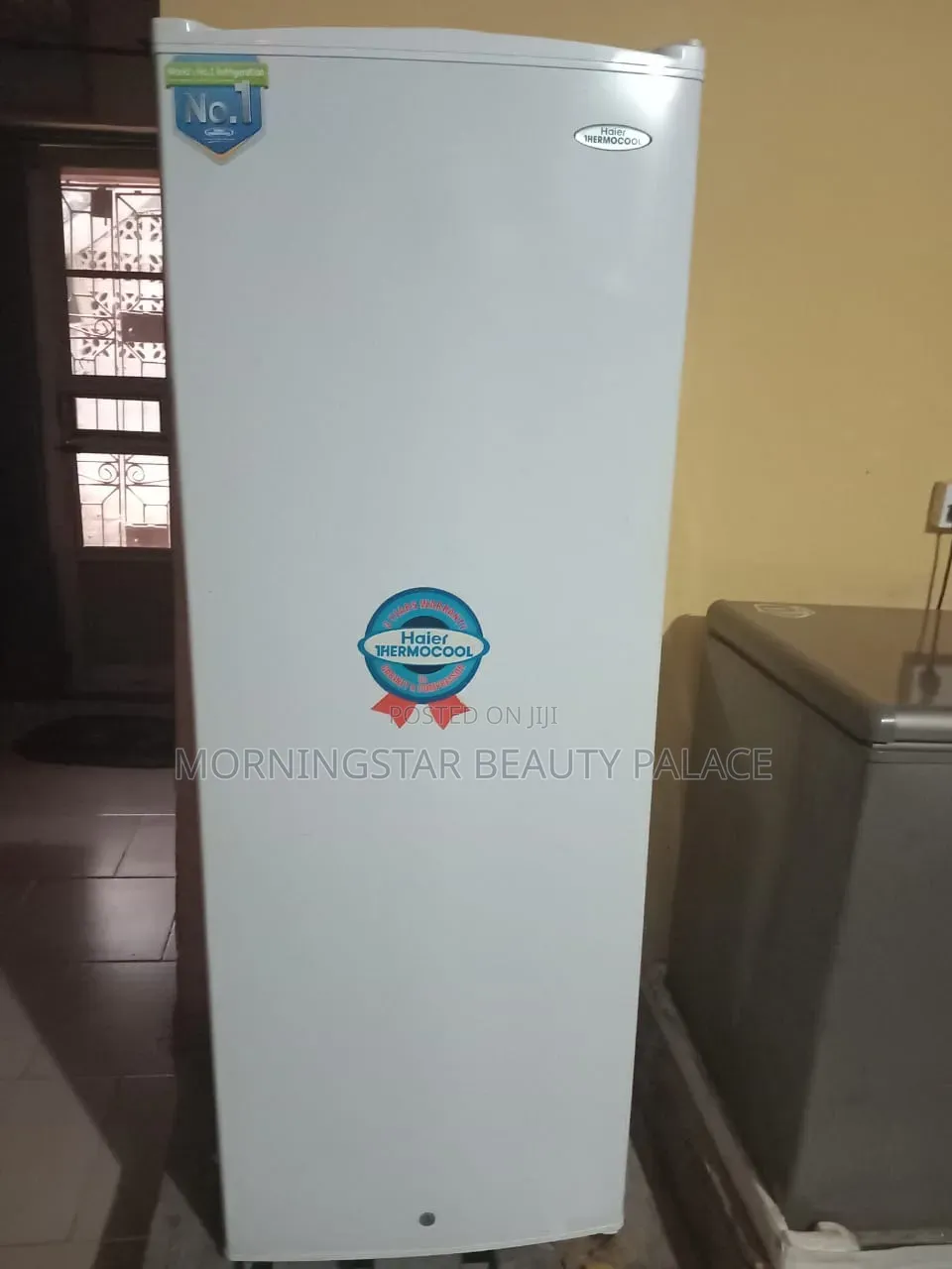 Standing Freezer