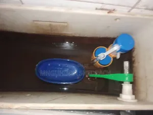 Plumbing Sentry Filithings Installation