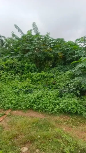 2Plots of Land for Sale at Lakoto Ajibode UI Axis Ibadan