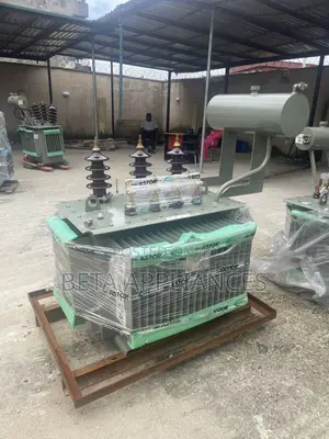 Astor 300 kVA Electrical Distribution Transformer