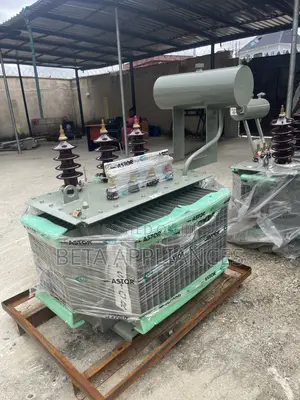 Astor 300 kVA Electrical Distribution Transformer