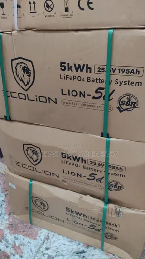 5kwh 48v Ecolion Lithium Ion Battery