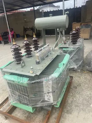 Astor 300 kVA Three Phase Power Transformer