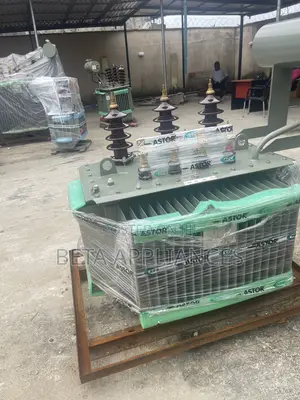Astor 300 kVA Three Phase Power Transformer