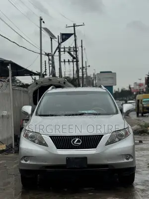 Lexus RX 350 2010 Gray