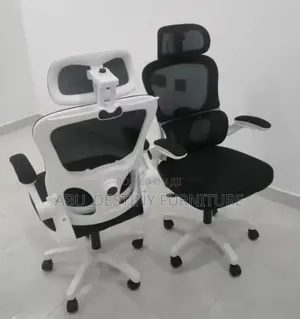 Executive Office Mesh Chair With Headrest