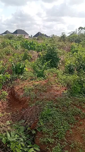 A Plot of Land for Sale