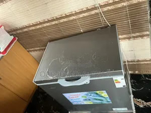 Snowsea 160L Freezer