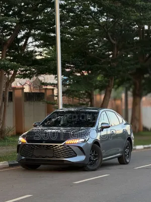 New BYD Qin Plus DM-i 2025 Gray