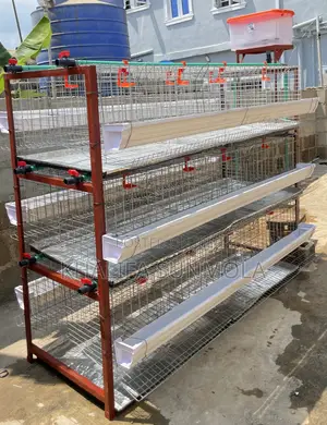 Broiler and Layers Poultry Cage (96 Birds)