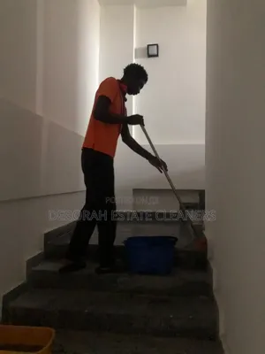 Reinstating Furniture Cleaning Service