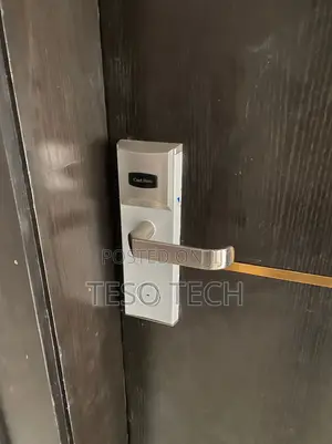 Keyless Entry Systems – Installed by Professionals