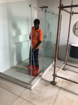 Window Cleaning Service
