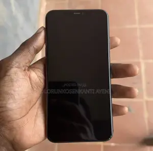 Apple iPhone 11 Pro Max 256 GB Gray