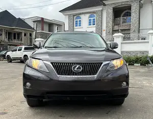 Lexus RX 350 2010 Gray