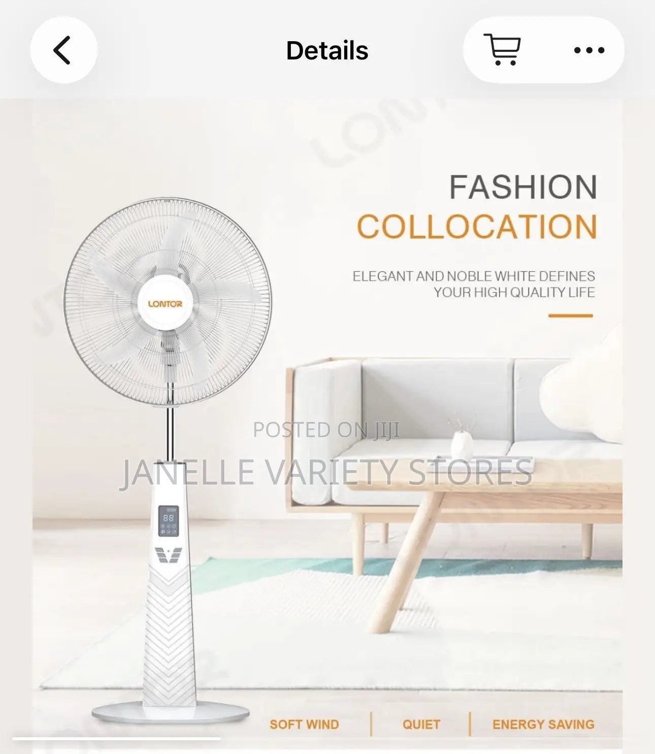 Rechargeable Standing Fan