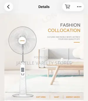 Rechargeable Standing Fan