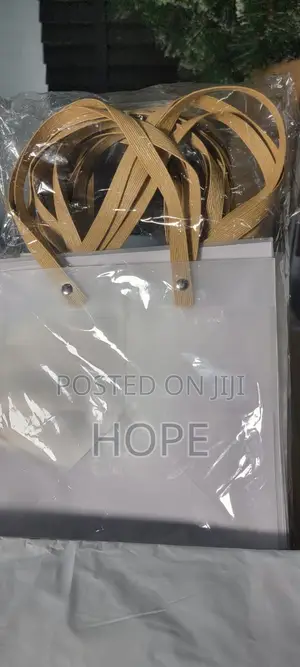 Transparent Bags