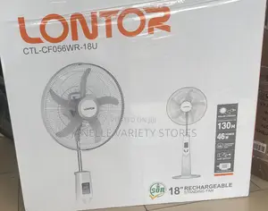 Rechargeable Standing Fan