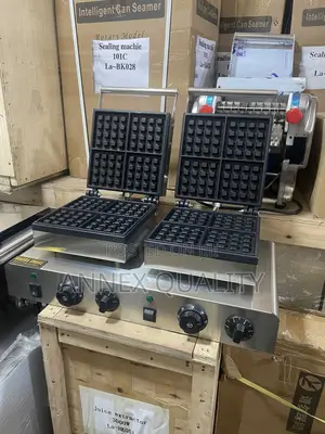 Double Waffle Maker