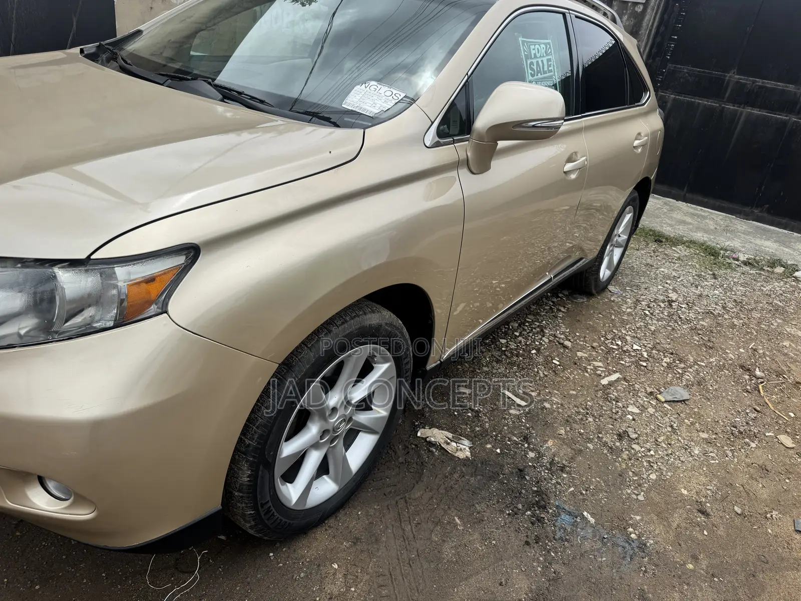 Lexus RX 2010 Gold