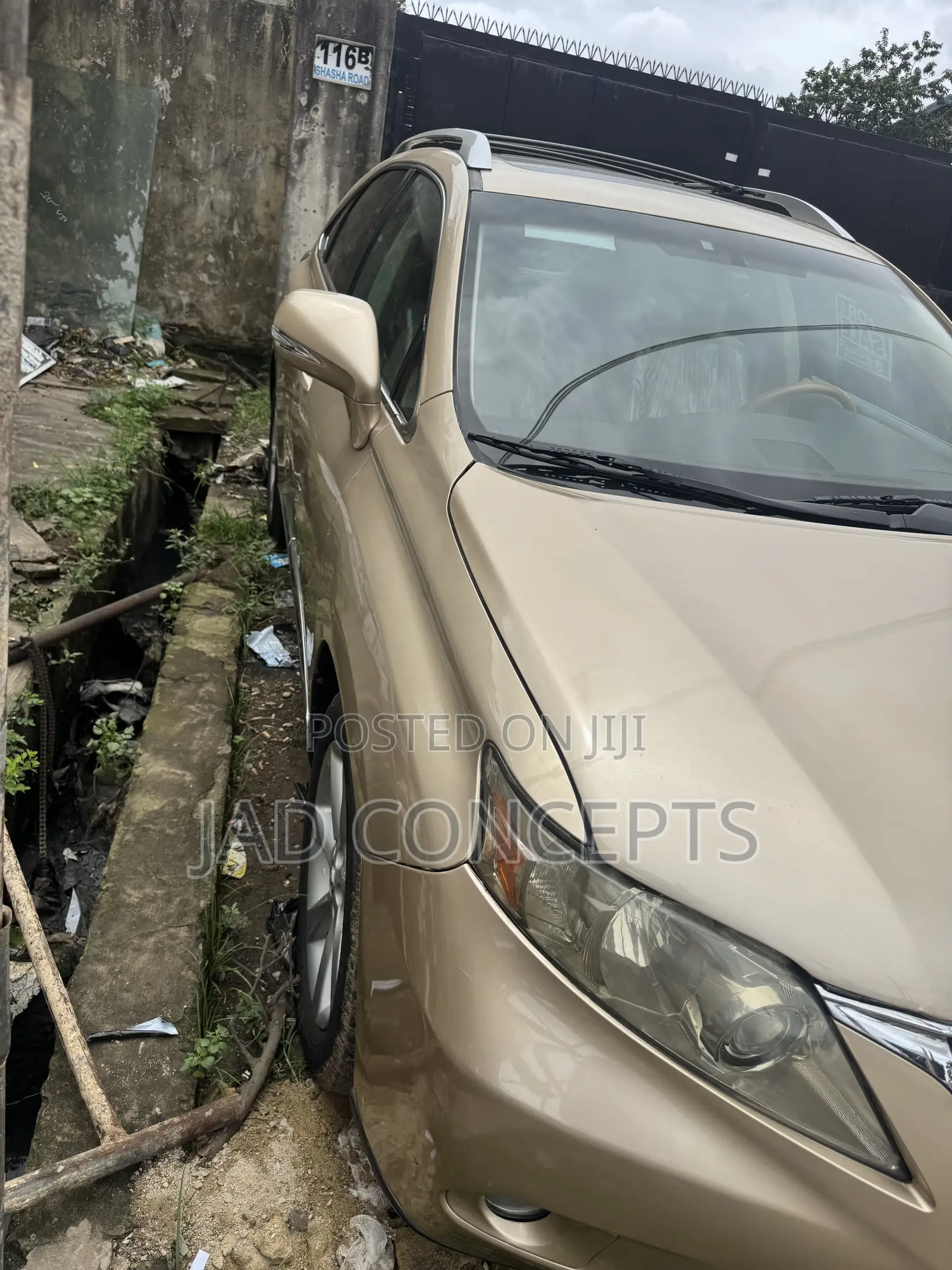 Lexus RX 2010 Gold