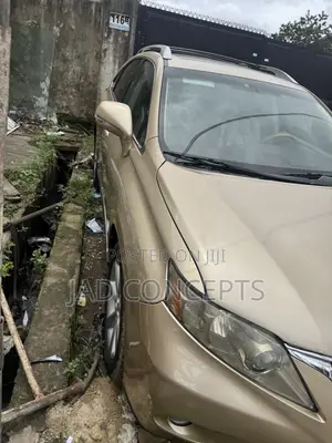 Lexus RX 2010 Gold