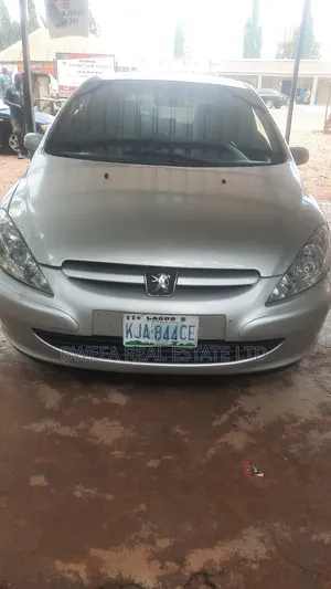 Peugeot 307 2007 Gray