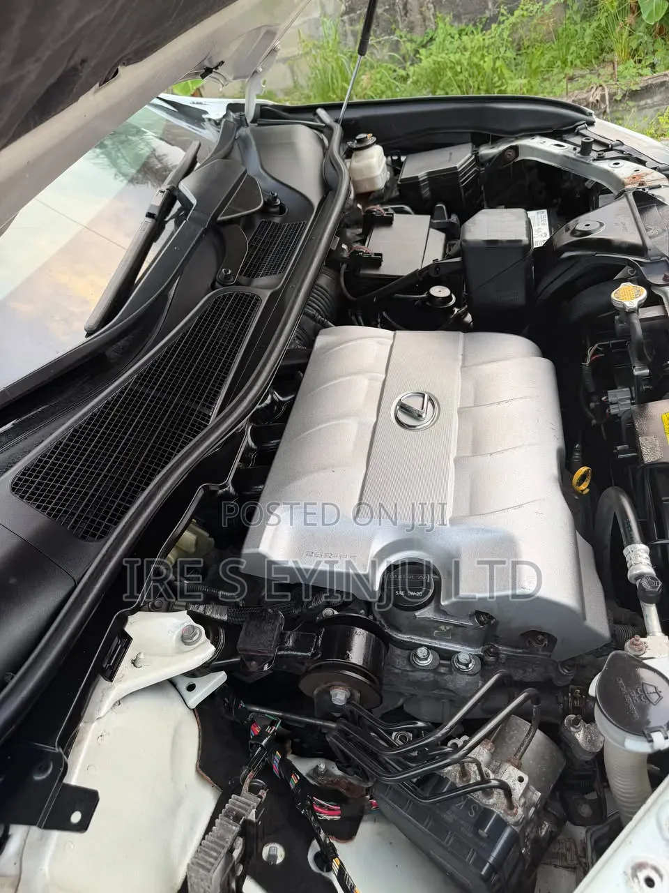 Lexus RX 2010 White