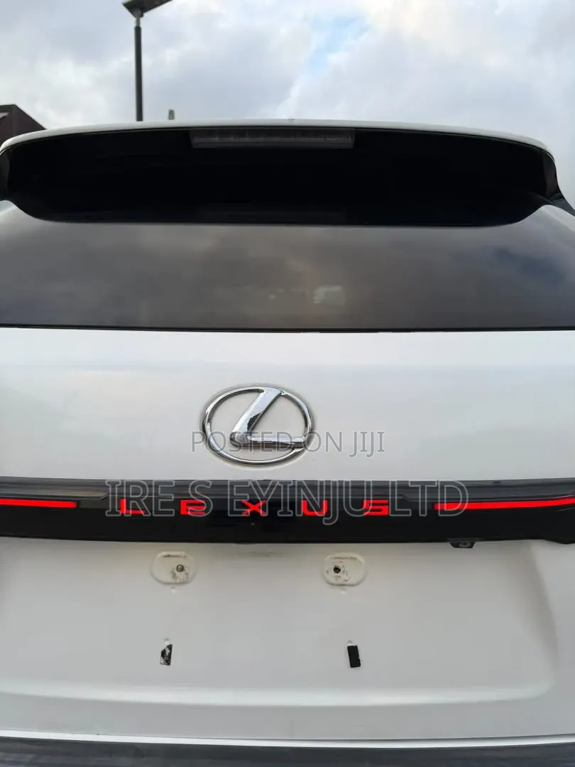 Lexus RX 2010 White