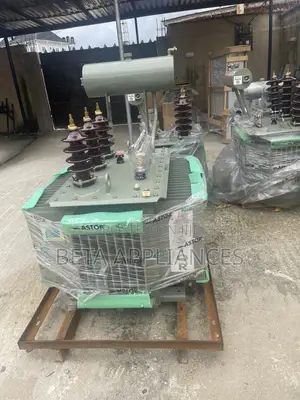 Astor 300 kVA Energy Distribution Transformer