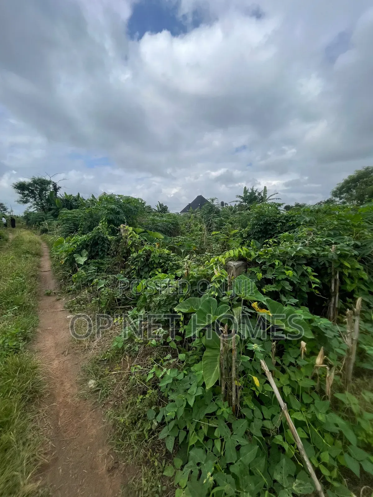 A Plot of Land Is Available