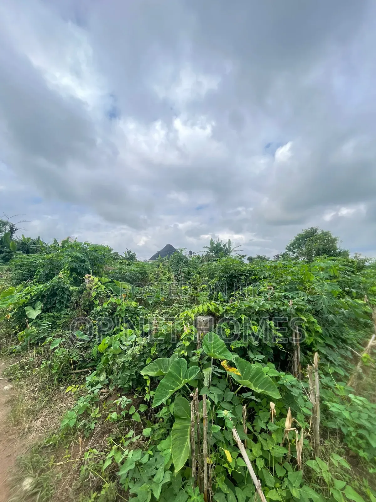 A Plot of Land Is Available