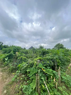 A Plot of Land Is Available