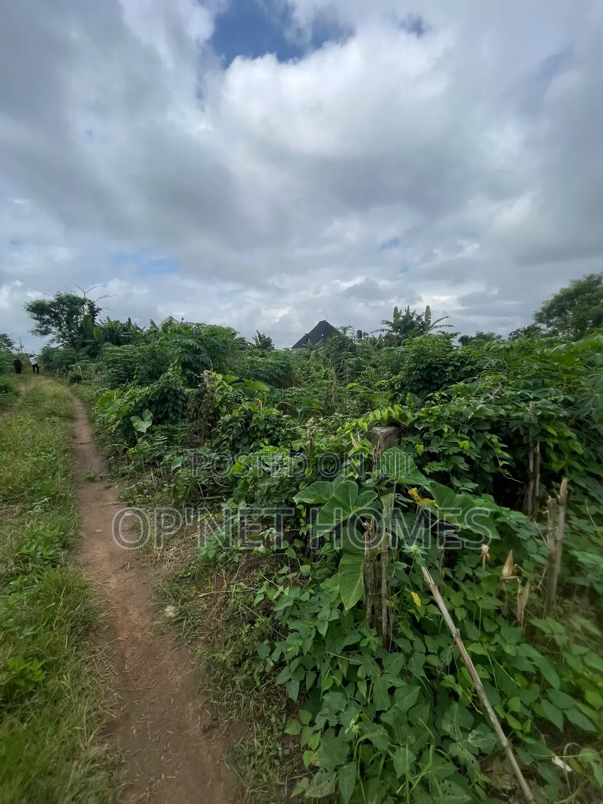 A Plot of Land Is Available
