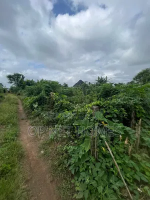 A Plot of Land Is Available