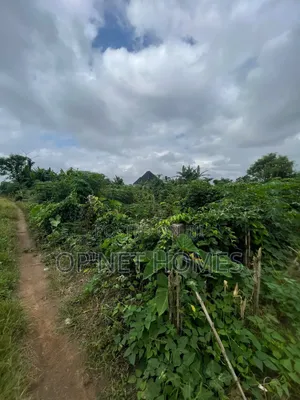 A Plot of Land Is Available