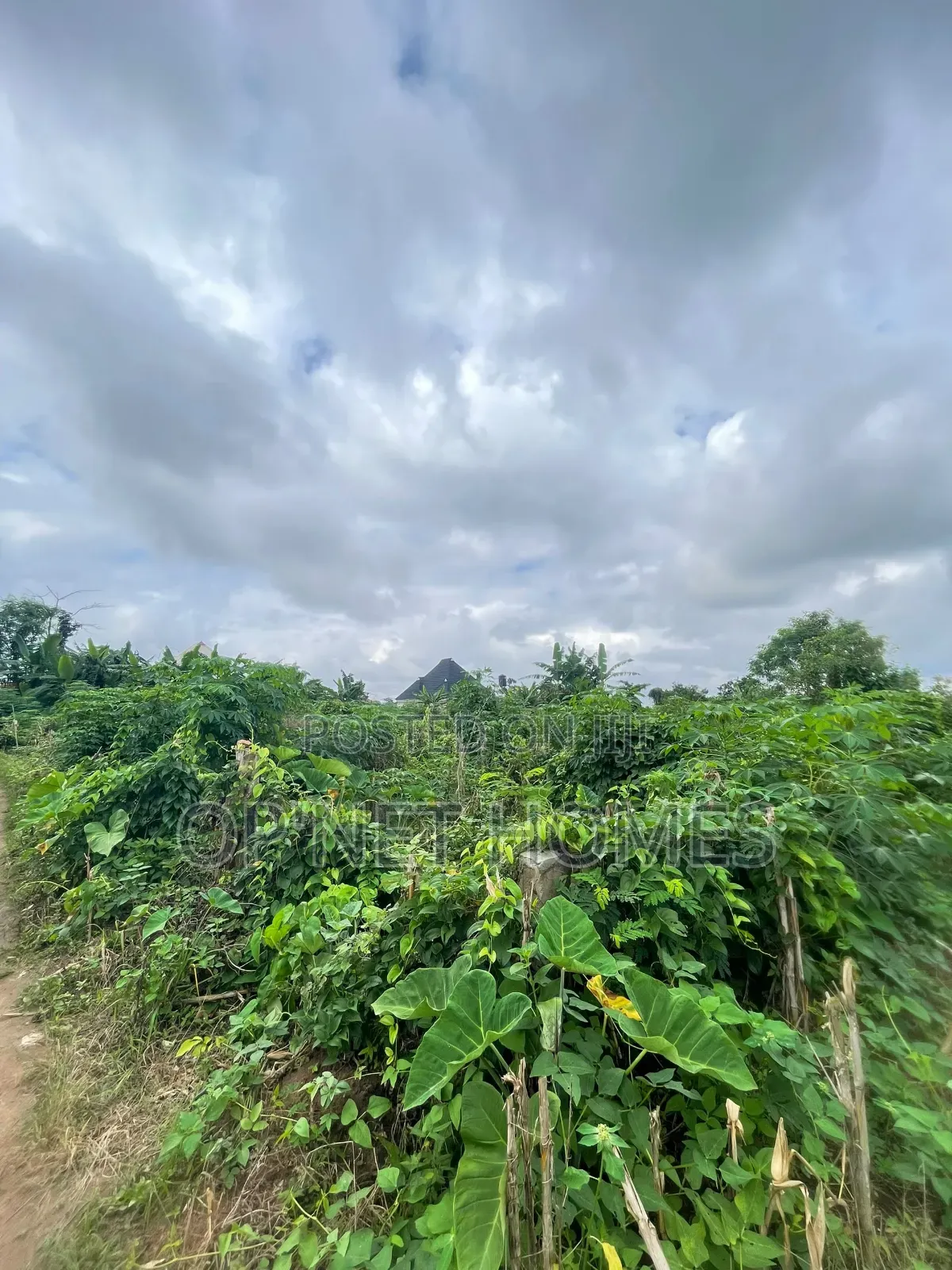 A Plot of Land Is Available