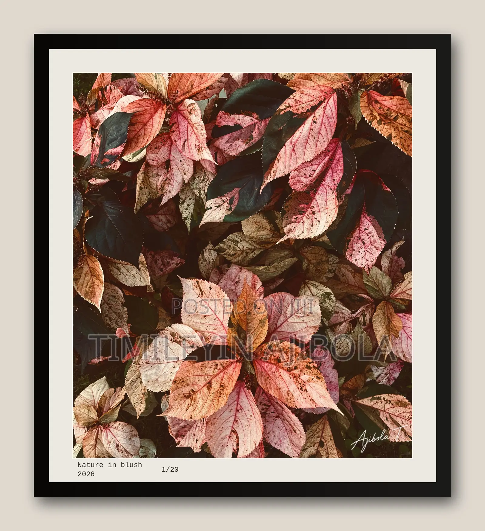 Nature in Blush
