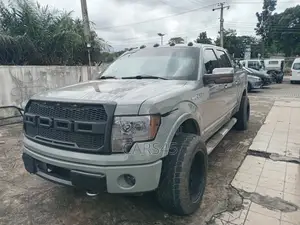 Ford F-150 2010 Gray
