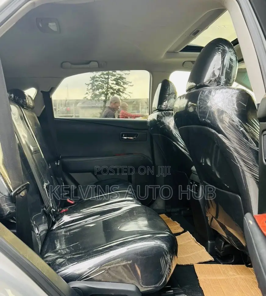 Lexus RX 2010 Silver