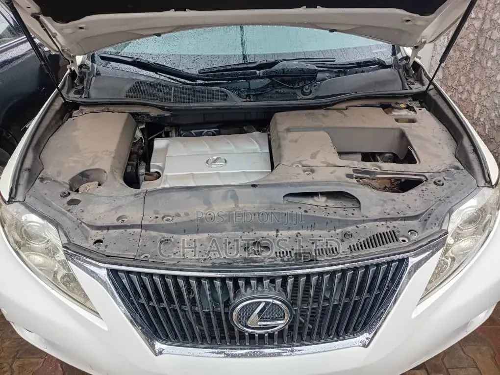 Lexus RX 2013 White