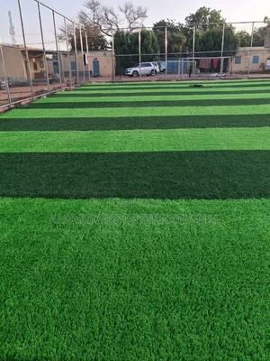 Super Standard Football Grass