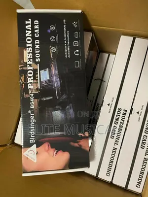 Birdsinger BS404 Sound Card