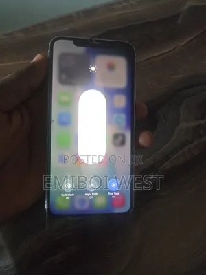 Apple iPhone 11 Pro Max 256 GB Silver